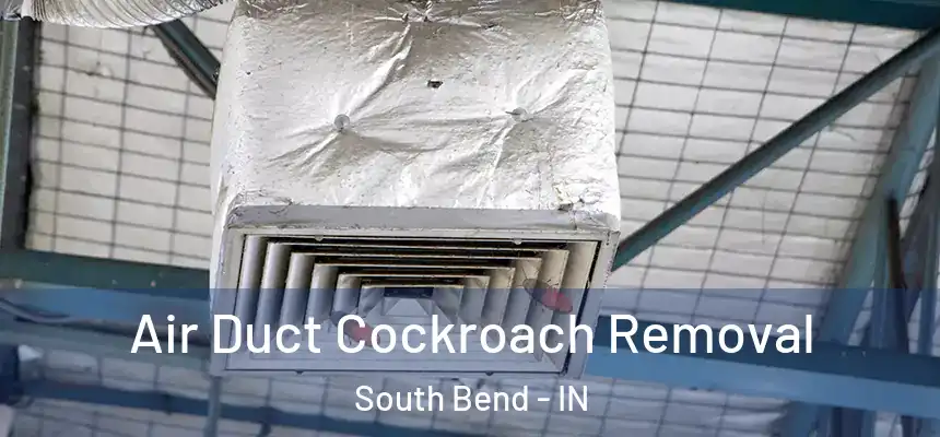 Air Duct Cockroach Removal South Bend - IN