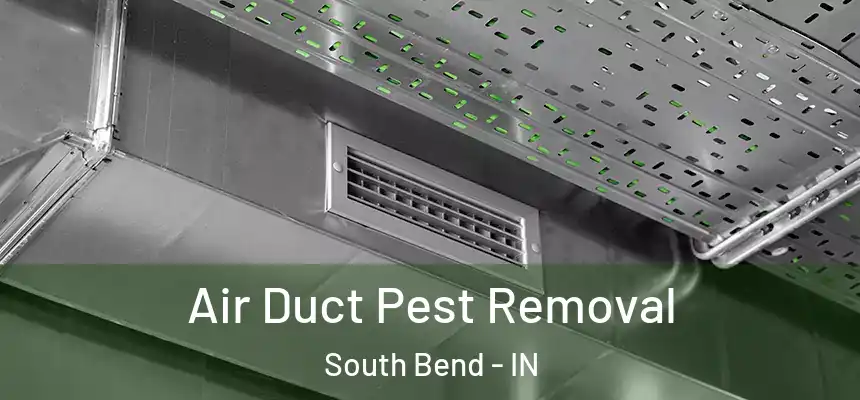 Air Duct Pest Removal South Bend - IN