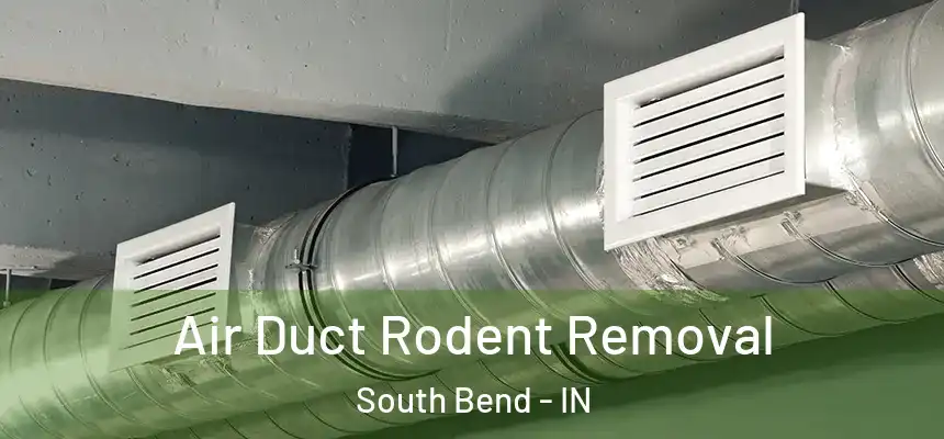  Air Duct Rodent Removal South Bend - IN
