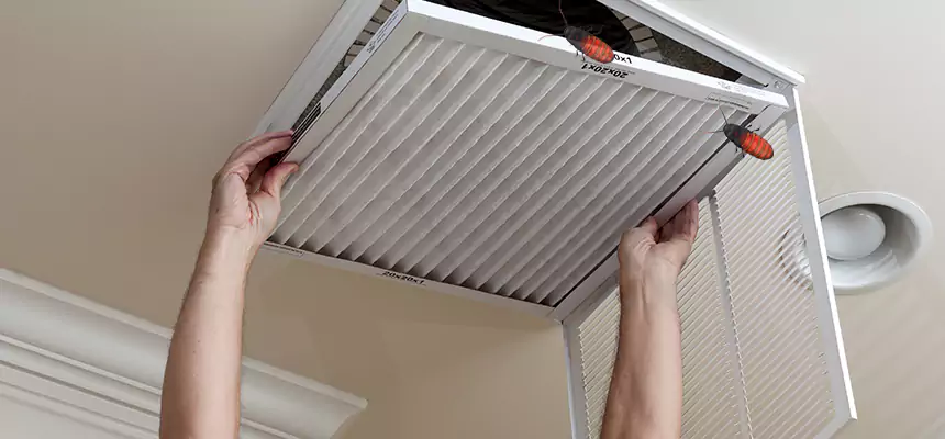 Preventive Cockroach-Proofing for Ducts in South Bend
