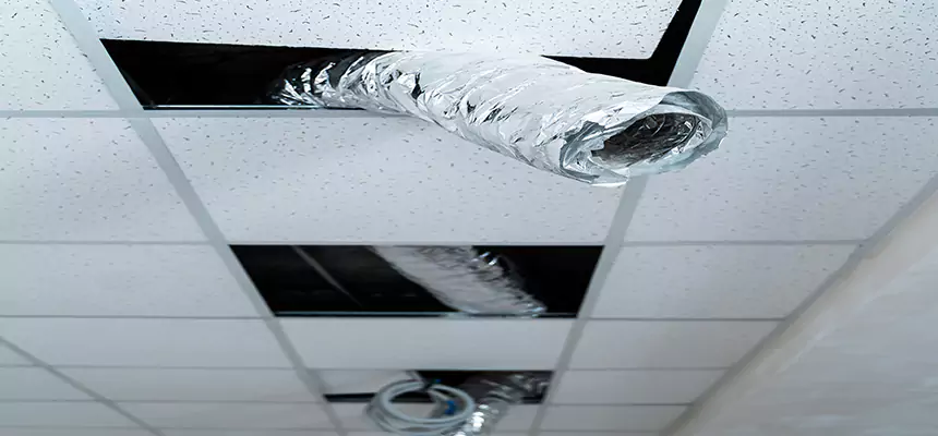 Our Air Duct Pet Hair Removal Services in South Bend, IN