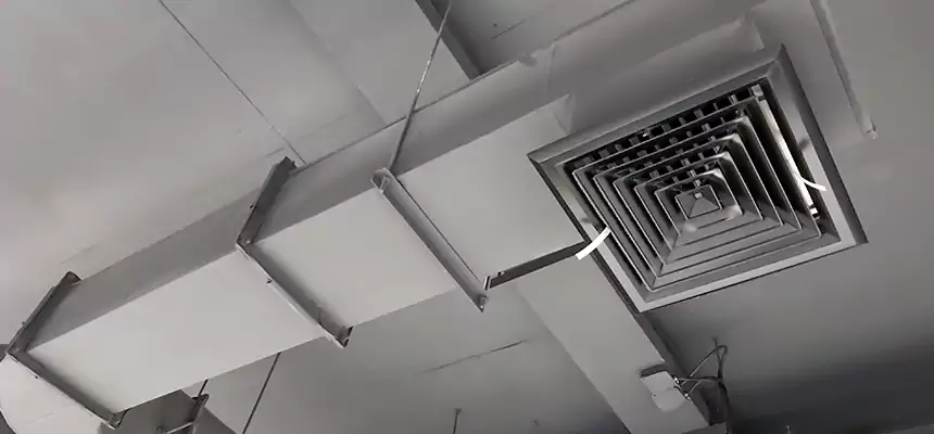 Our Pest Removal From Ducts Services in South Bend, IN