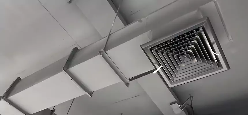 Our Rodent Droppings In Vents Services in South Bend, IN