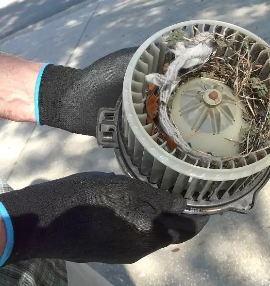 About Air Duct Rat Removal in South Bend, IN