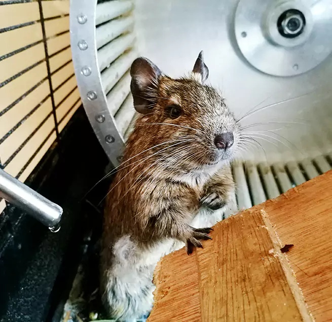 Why Homeowners & Businesses Trust Us South Bend, IN?