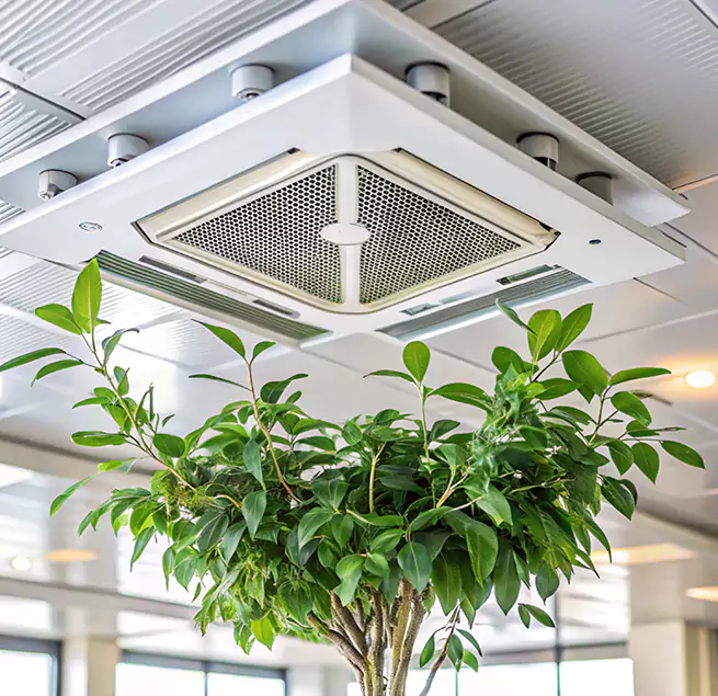 Why Homeowners & Businesses Trust Us in South Bend, IN?