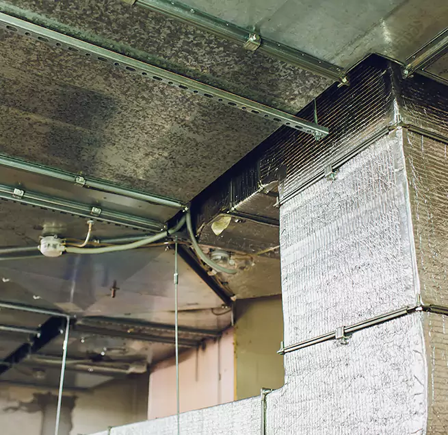 Why Homeowners & Businesses Trust Us in South Bend, IN?